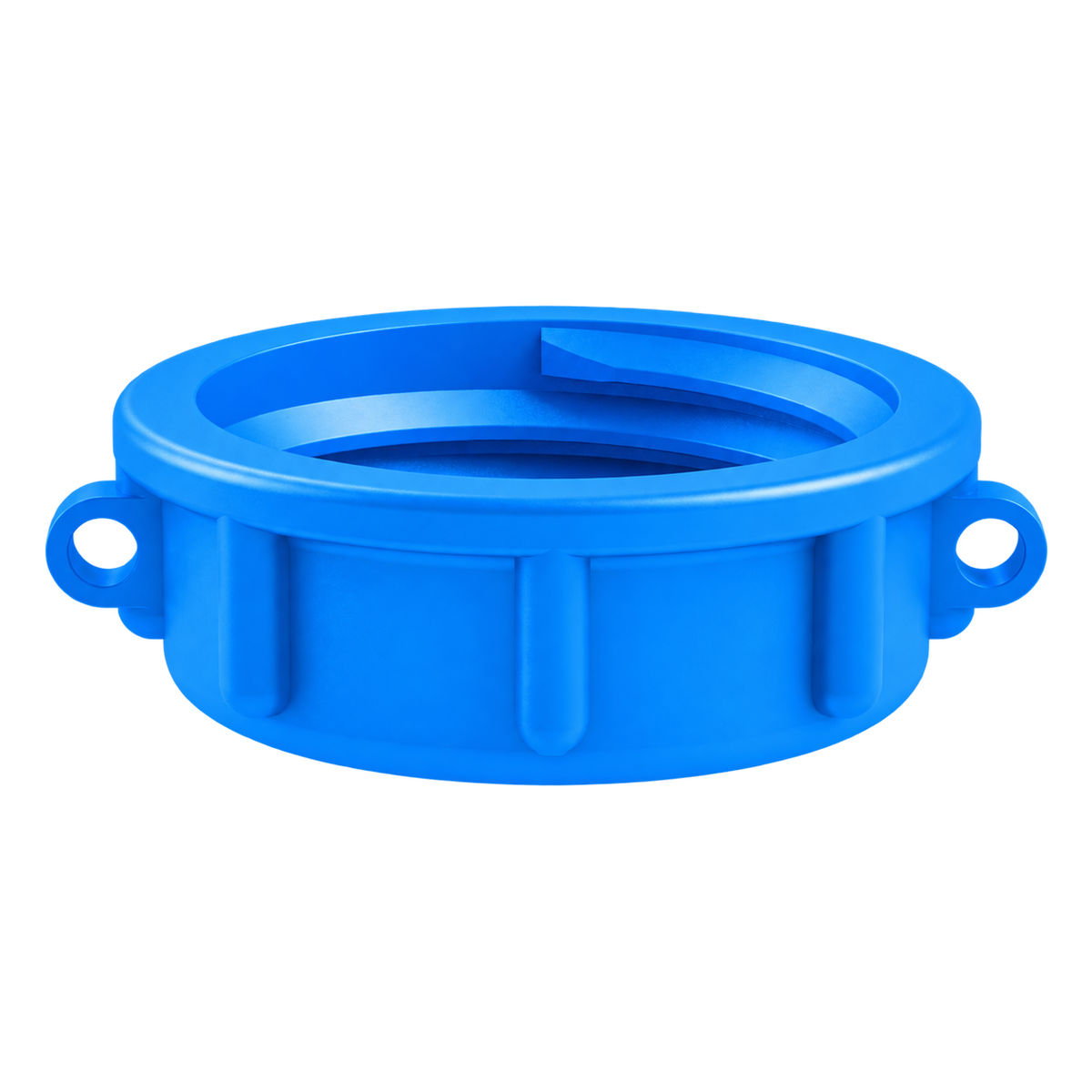 S60X6 Female Dust Cap - Blue Polypropylene - CPP®