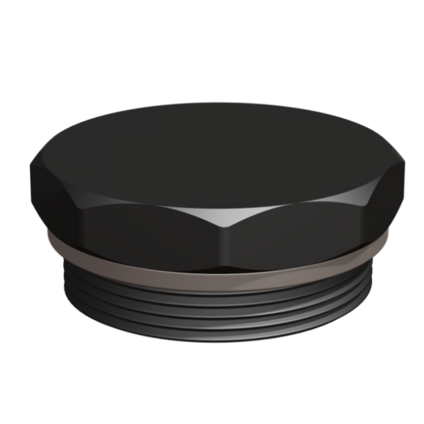 BCS G2 × 11.5 (2″ BSP/NPS) Drum Plug – GF Polypropylene – CPP®